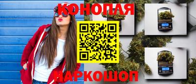 ГАЛЛЮЦИНОГЕННЫЕ ГРИБЫ Канаш