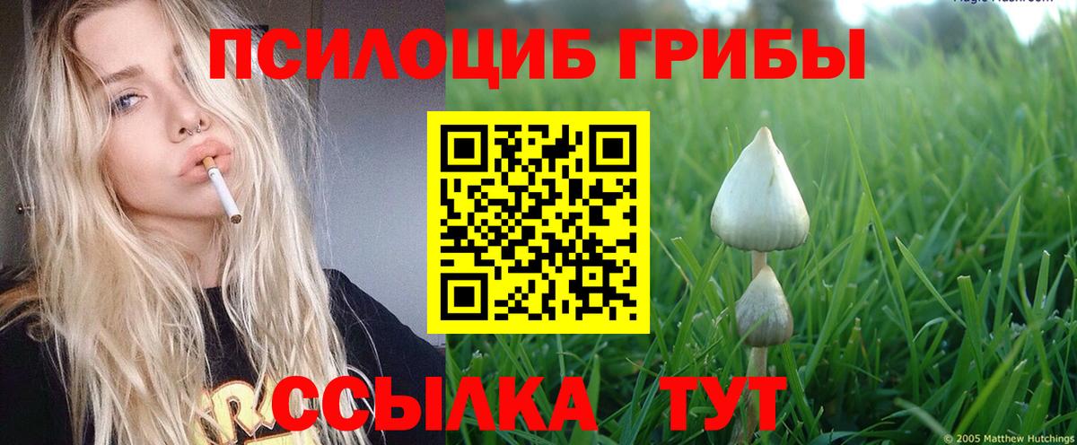 наркота  Галлюциногенные грибы прущие грибы  Вход с VPN  Кыштым  Галлюциногенные грибы GOLDEN TEACHER 